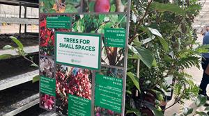 Trees for small spaces